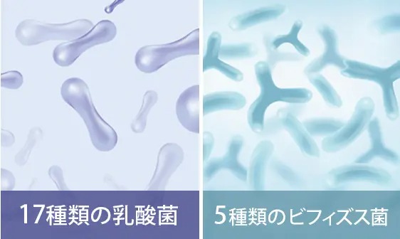 MISIRELTO �ߥ����� CHO-KATSU�ɥ�� BJ-22 �ʥ���� ���졼�ץե롼�ĥߥå��� 1000ml